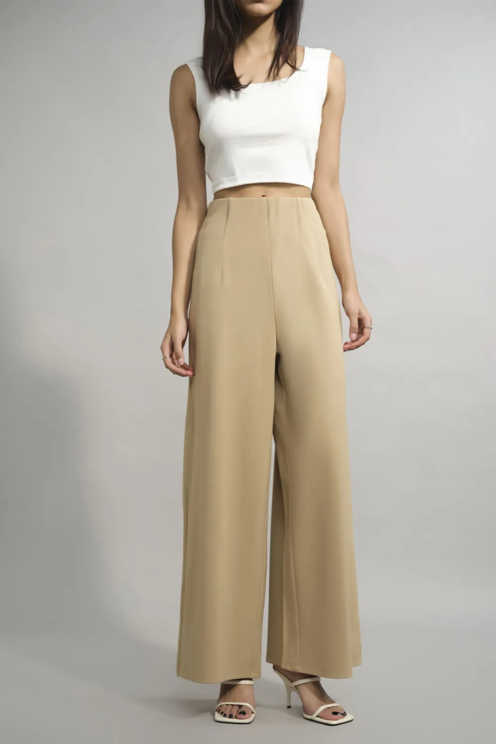 Casual Wear Beige Flair Pants